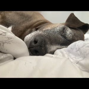 Meet your Posher, Lydia